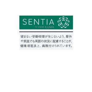 SENTIA 冰霜绿（20支装）